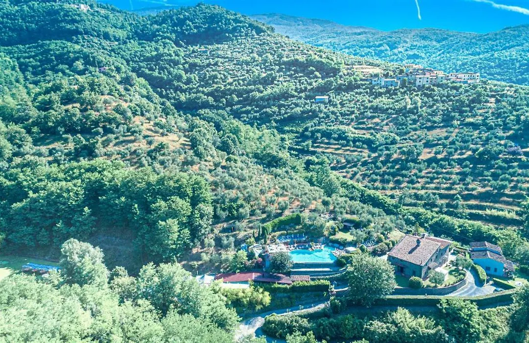 LE FORRI società agricola-1